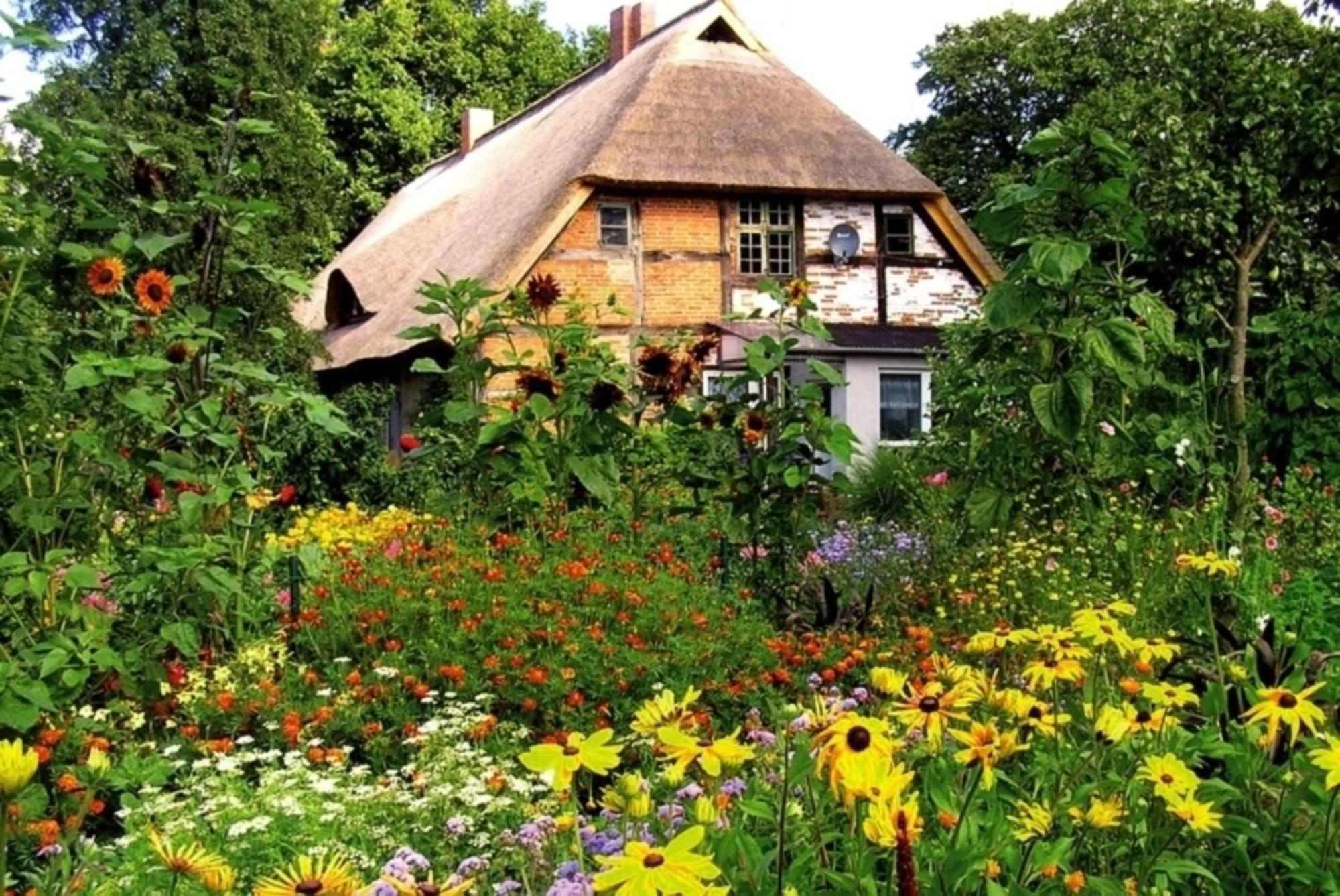 Ferienwohnung Irisgarten Am Pfarrgarten Starkow Velgast Exterior photo