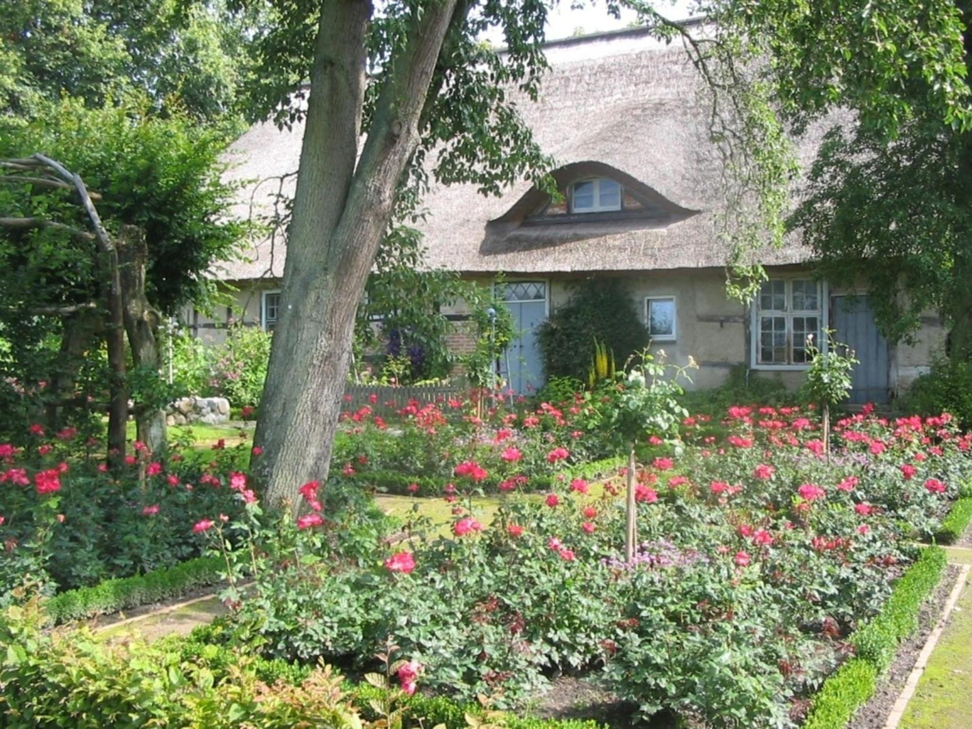 Ferienwohnung Irisgarten Am Pfarrgarten Starkow Velgast Exterior photo