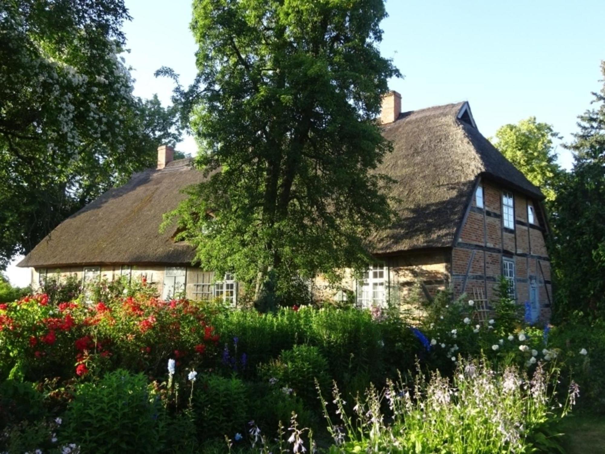 Ferienwohnung Irisgarten Am Pfarrgarten Starkow Velgast Exterior photo